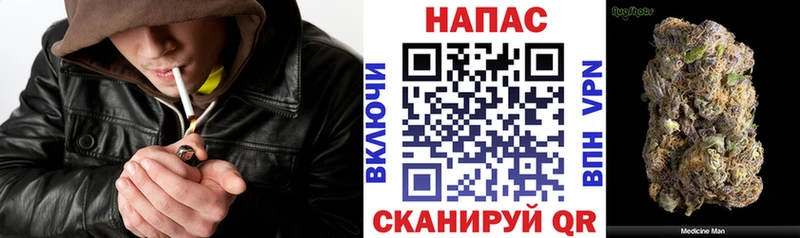 Бошки Шишки план  Купить закладки  Черноголовка 